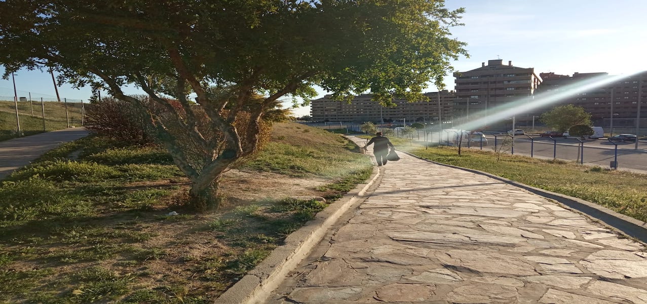 Mantenimiento Areas Caninas